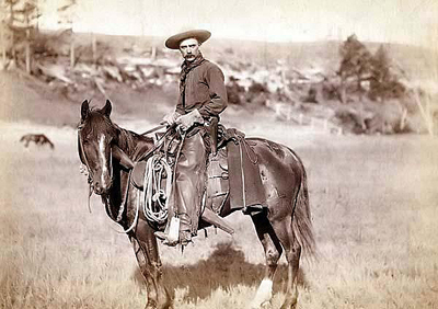 Quarter-Horse-Cowboy02